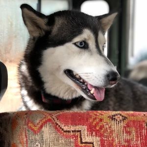 Meet your Posher, Erik